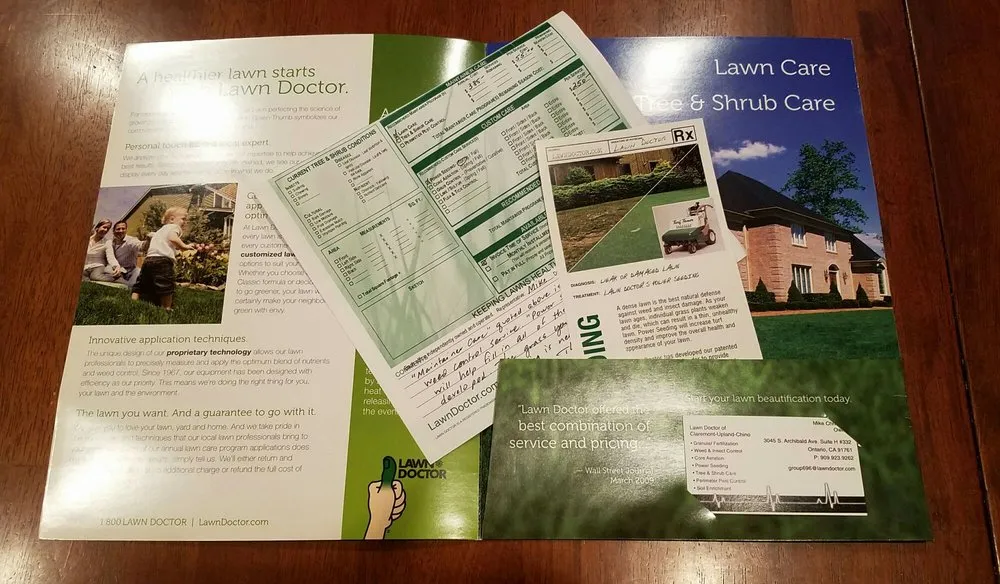 Professional yard cleanup service for year-round maintenance across Ontario, CA - Lawn Doctor