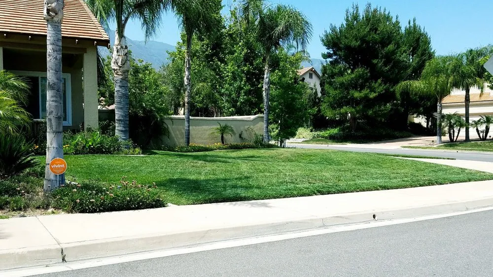 Professional outdoor landscaping in Ontario, CA - Lawn Doctor