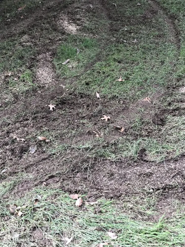 Reliable residential landscaping experts serving Parsippany, NJ - Lawn Doctor