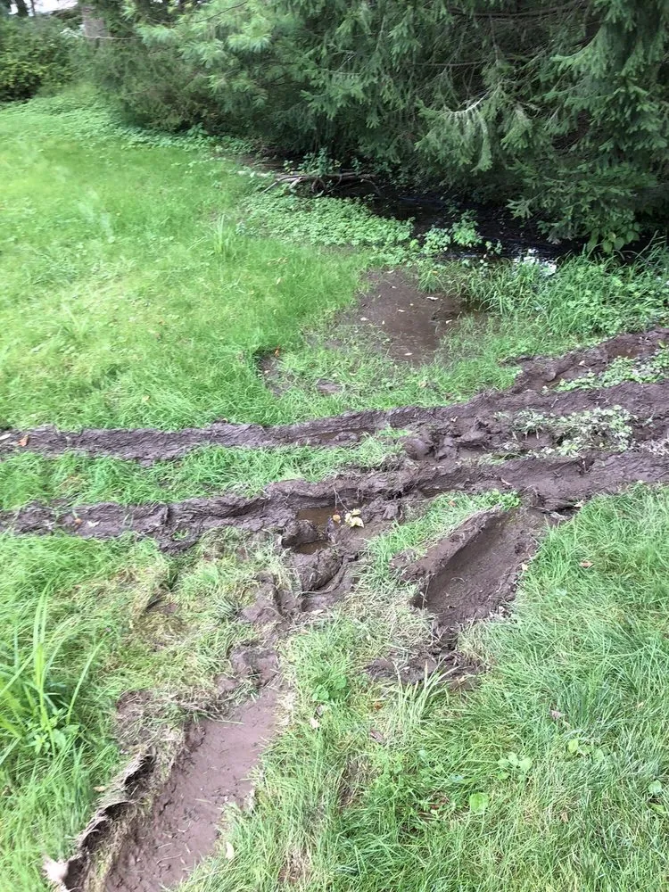 Professional garden landscaping with custom design in Parsippany, NJ by Lawn Doctor