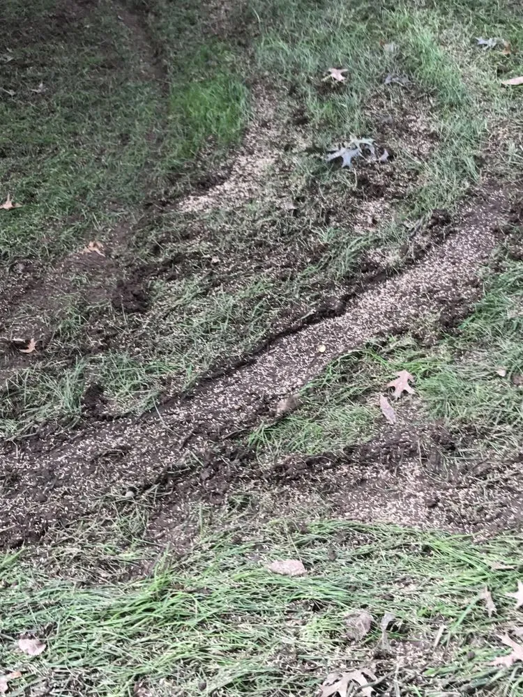 Local landscaping services experts serving Parsippany, NJ - Lawn Doctor