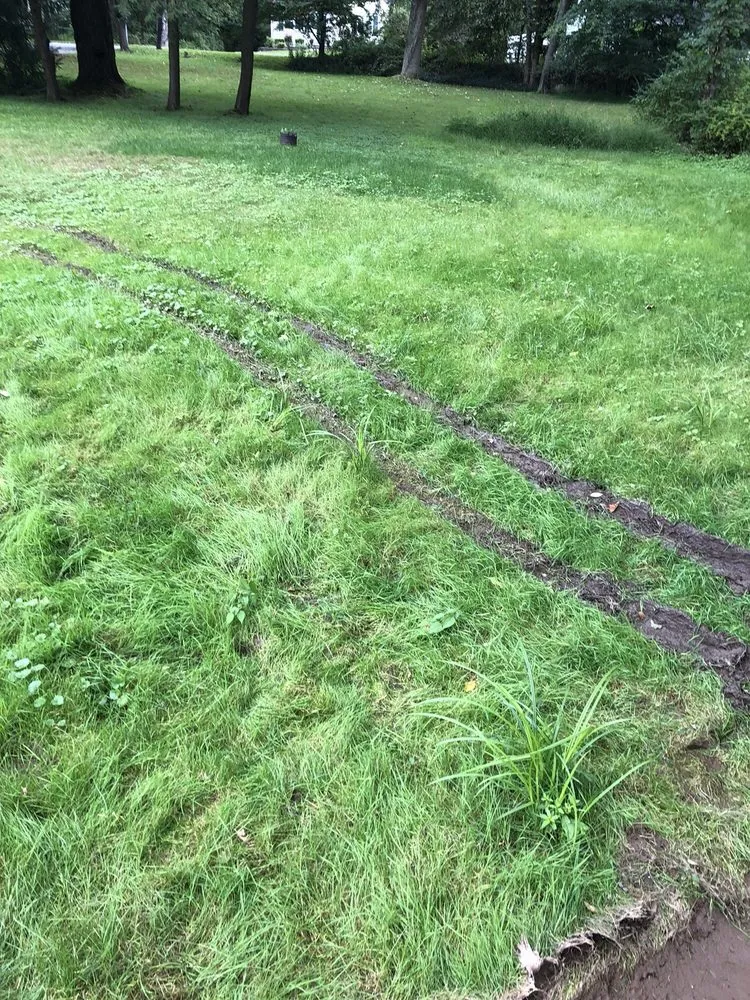 Reliable yard cleanup service in Parsippany, NJ - Lawn Doctor