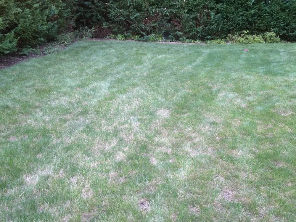 Top-rated lawn mowing service in Plainview, NY - Lawn Doctor