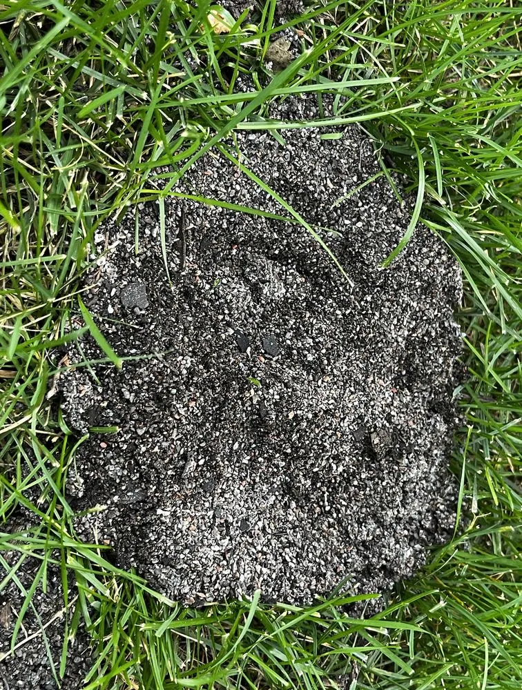 Affordable lawn mowing service for beautiful yards in Richmond, IL by Lawn Doctor