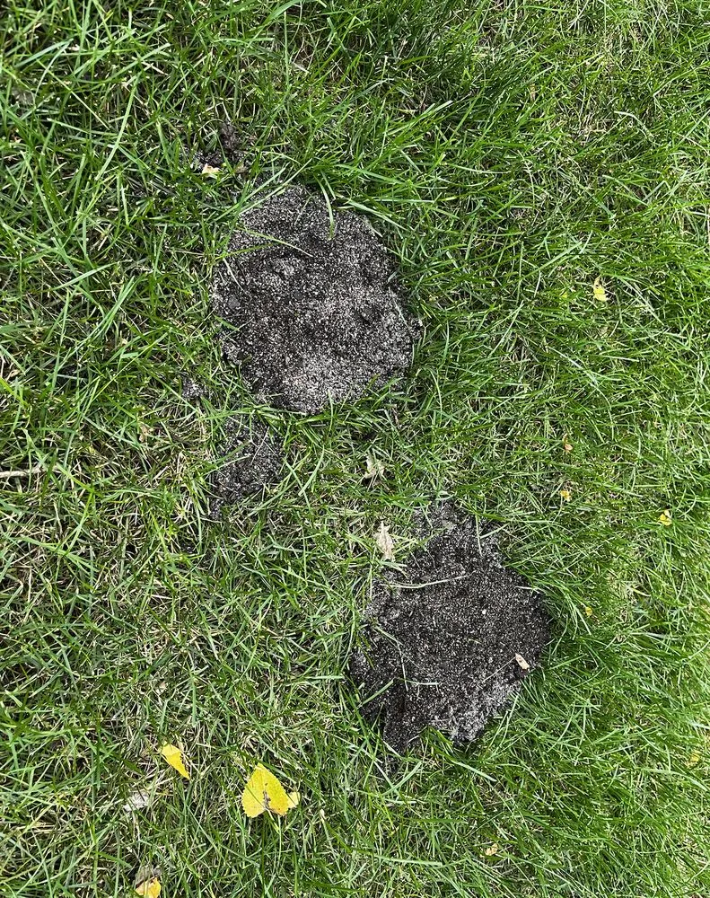 Expert garden landscaping in Richmond, IL by Lawn Doctor