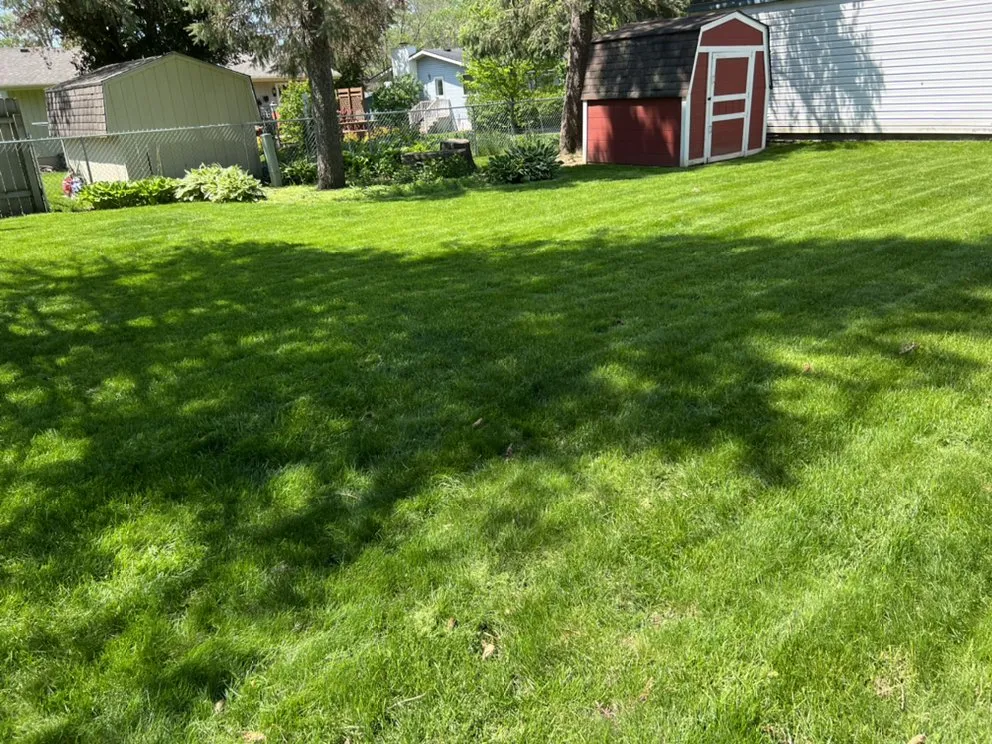 Expert landscape design for beautiful yards in Rochester, MN by Lawn doctor