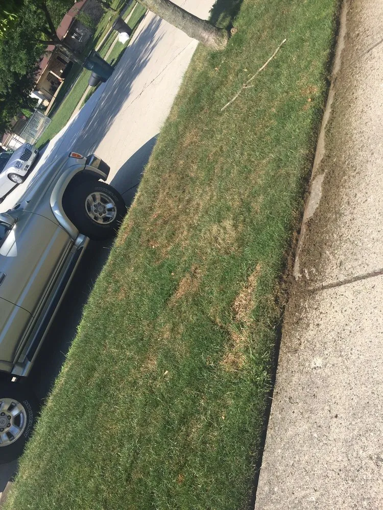 Custom lawn care service for residential properties across Royal Oak, MI - Lawn Doctor