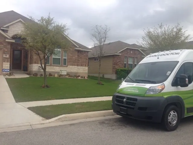 Reliable yard cleanup service in San Antonio, TX by Lawn Doctor