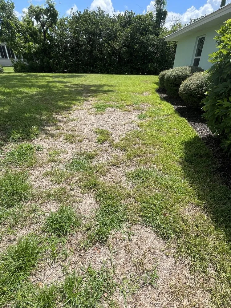 Affordable residential landscaping for beautiful yards across Sarasota, FL - Lawn Doctor