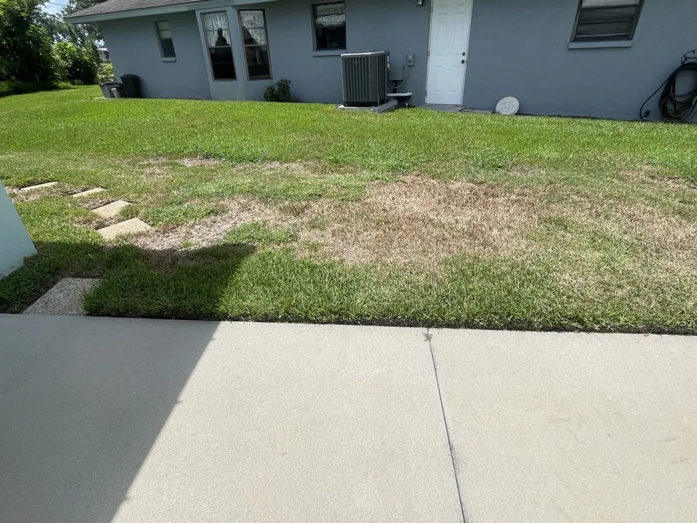 Local residential landscaping for homes across Sarasota, FL - Lawn Doctor