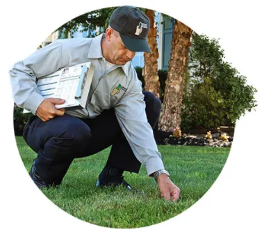 Trusted residential landscaping experts serving Sarasota, FL - Lawn Doctor