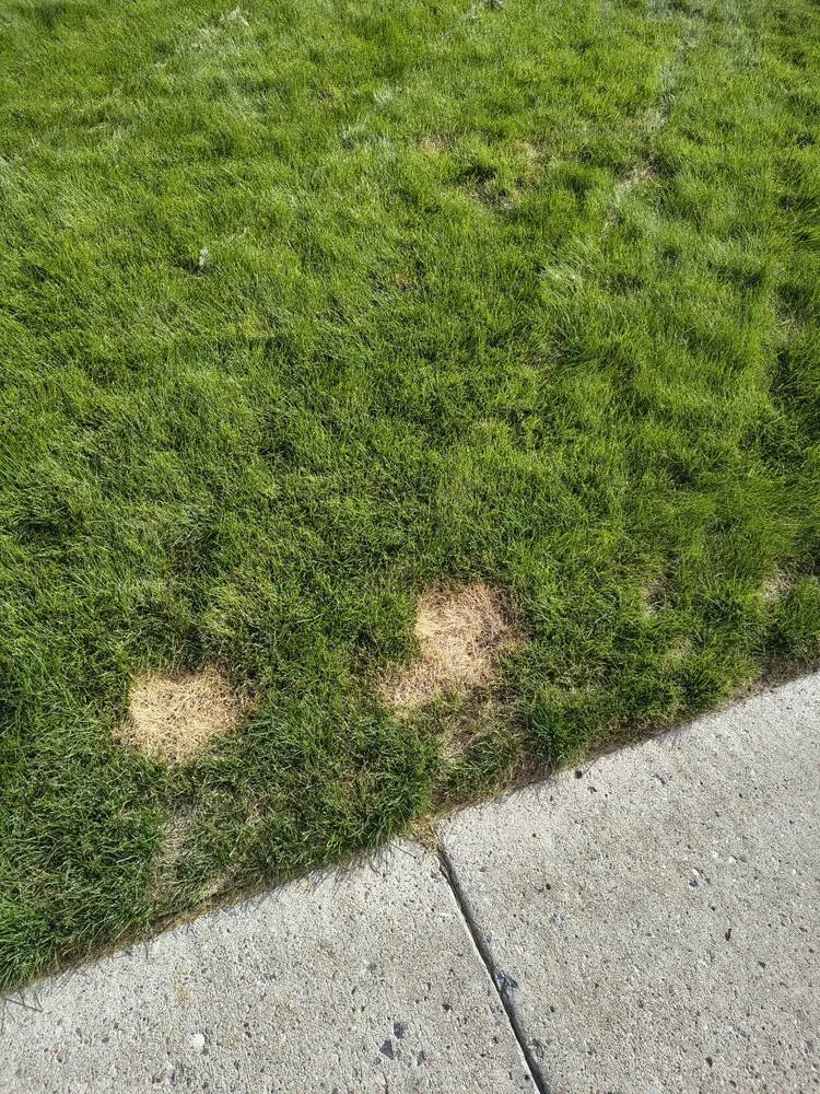 Reliable landscape installation experts serving South Jordan, UT - Lawn Doctor-South Jordan