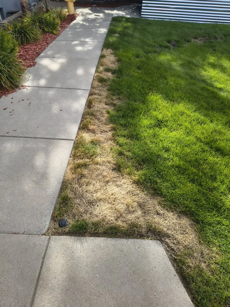 Top-rated yard maintenance experts serving South Jordan, UT - Lawn Doctor-South Jordan