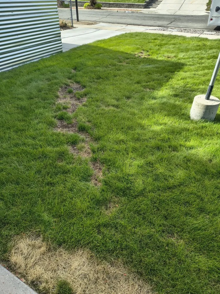 Custom yard maintenance experts serving South Jordan, UT - Lawn Doctor-South Jordan