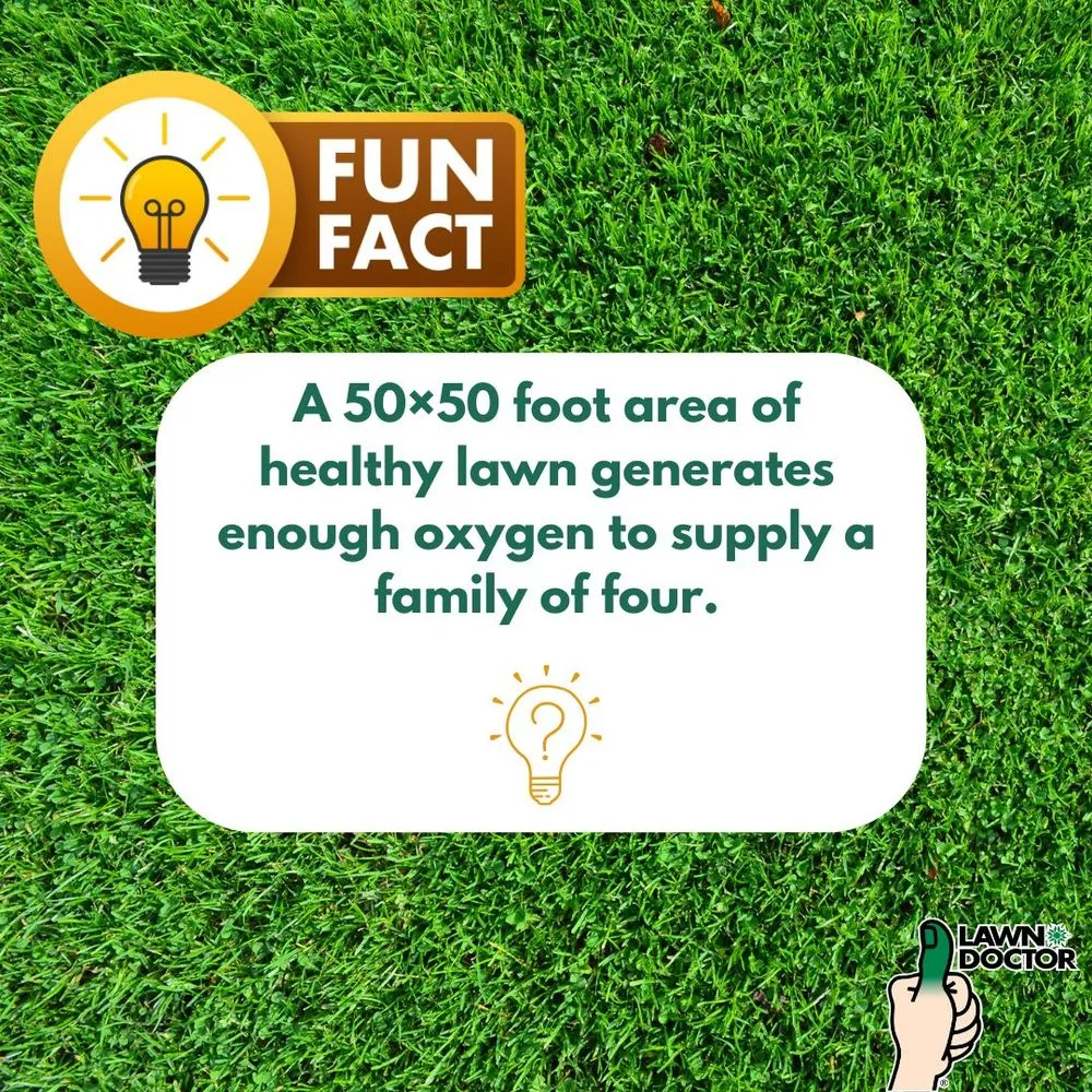 Top-rated landscape installation near you across Spanish Fork, UT - Lawn Doctor