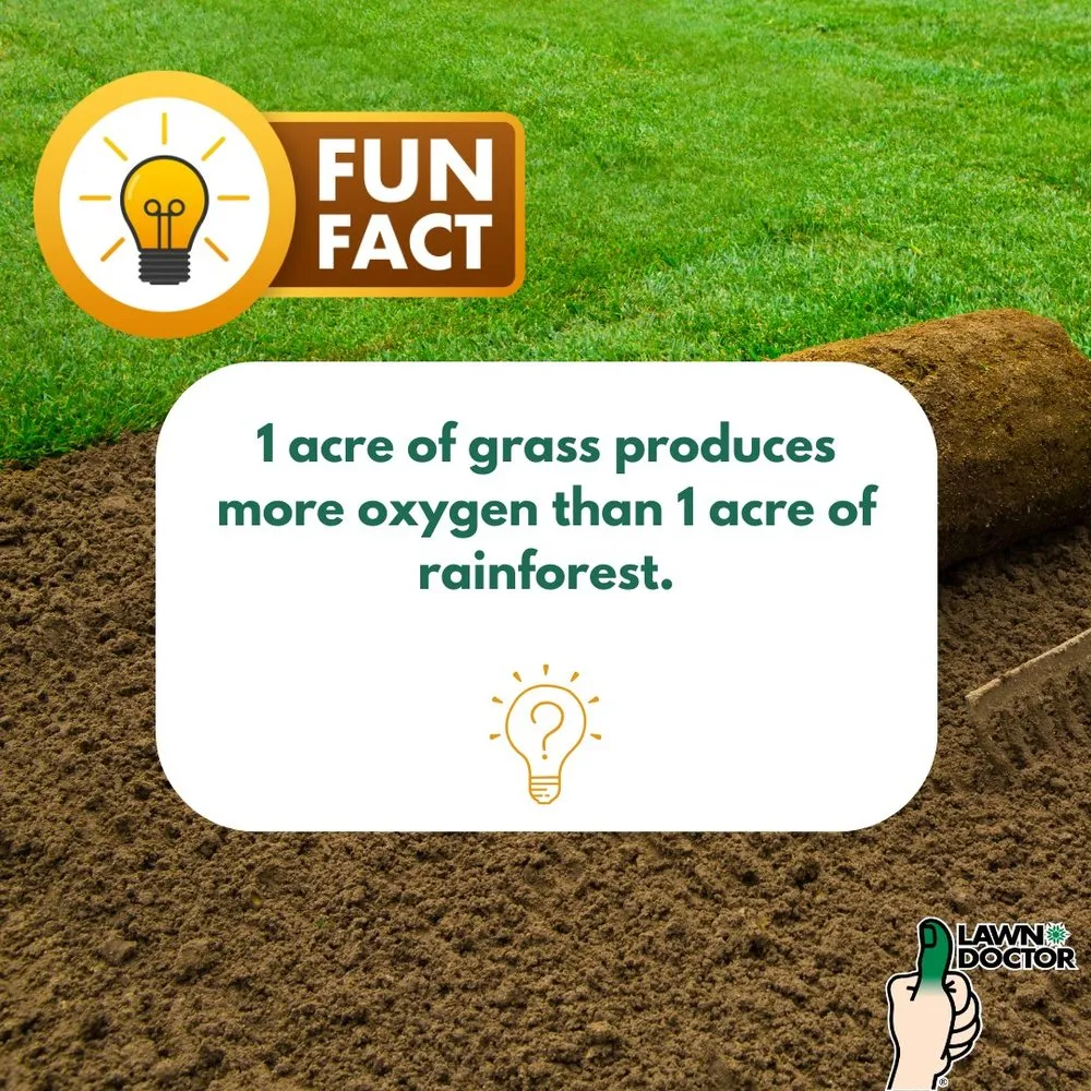 Reliable landscape design experts serving Spanish Fork, UT - Lawn Doctor