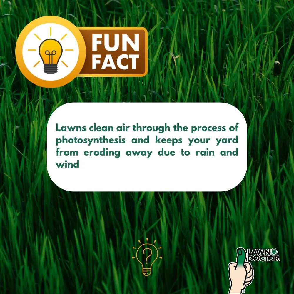 Trusted landscape installation with custom design in Spanish Fork, UT by Lawn Doctor