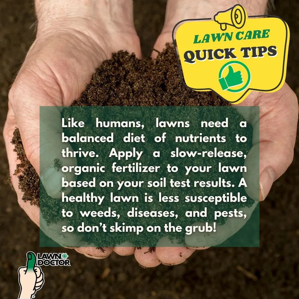 Affordable landscaping services in Spanish Fork, UT by Lawn Doctor