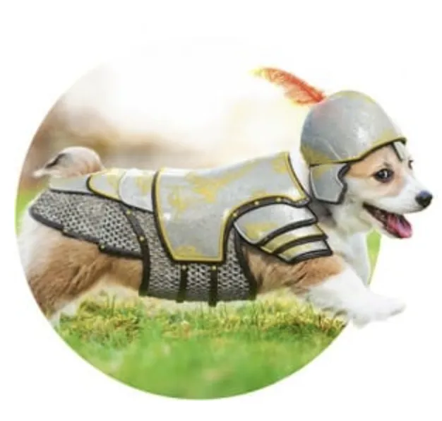 Expert landscape installation experts serving Spanish Fork, UT - Lawn Doctor