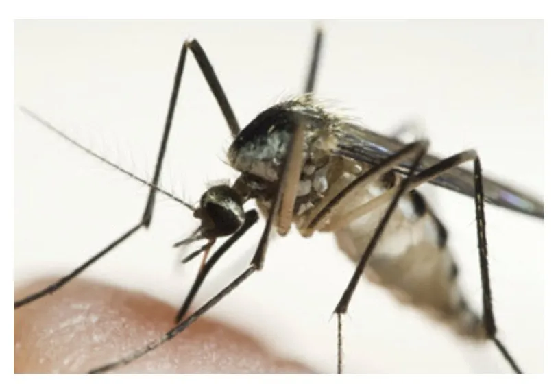 Custom outdoor landscaping experts serving Spanish Fork, UT - Lawn Doctor