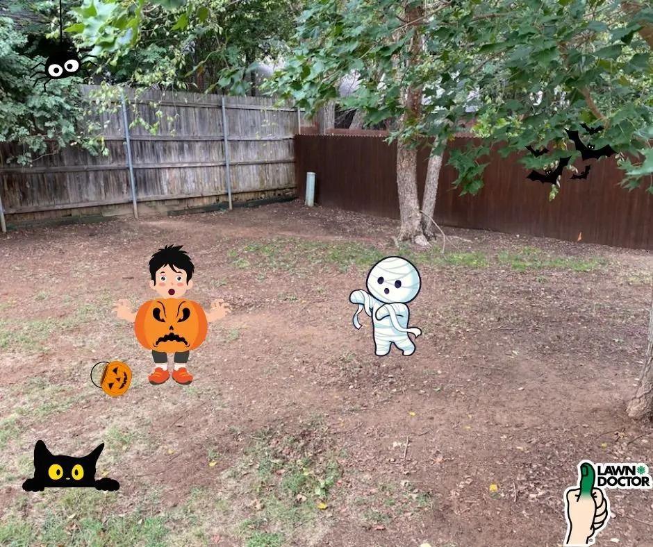 Reliable outdoor landscaping in Spanish Fork, UT - Lawn Doctor