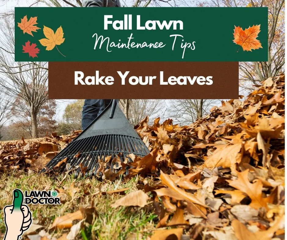 Expert residential landscaping with custom design across Spanish Fork, UT - Lawn Doctor