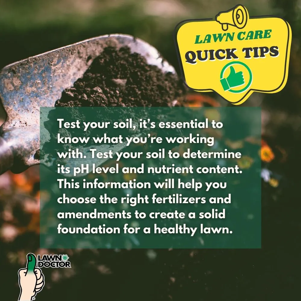 Custom lawn care service experts serving Spanish Fork, UT - Lawn Doctor