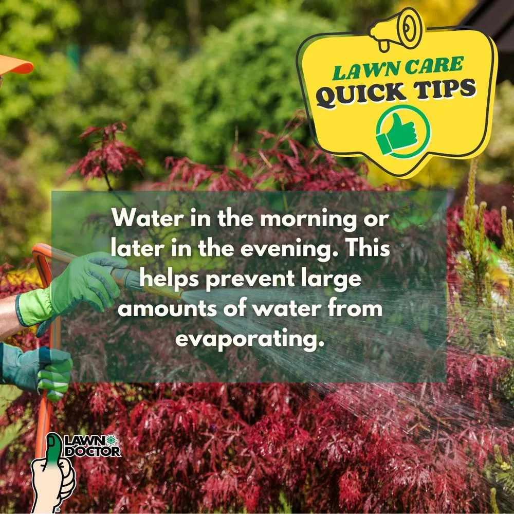 Custom garden landscaping in Spanish Fork, UT - Lawn Doctor