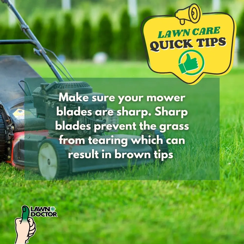 Trusted landscape design near you in Spanish Fork, UT by Lawn Doctor