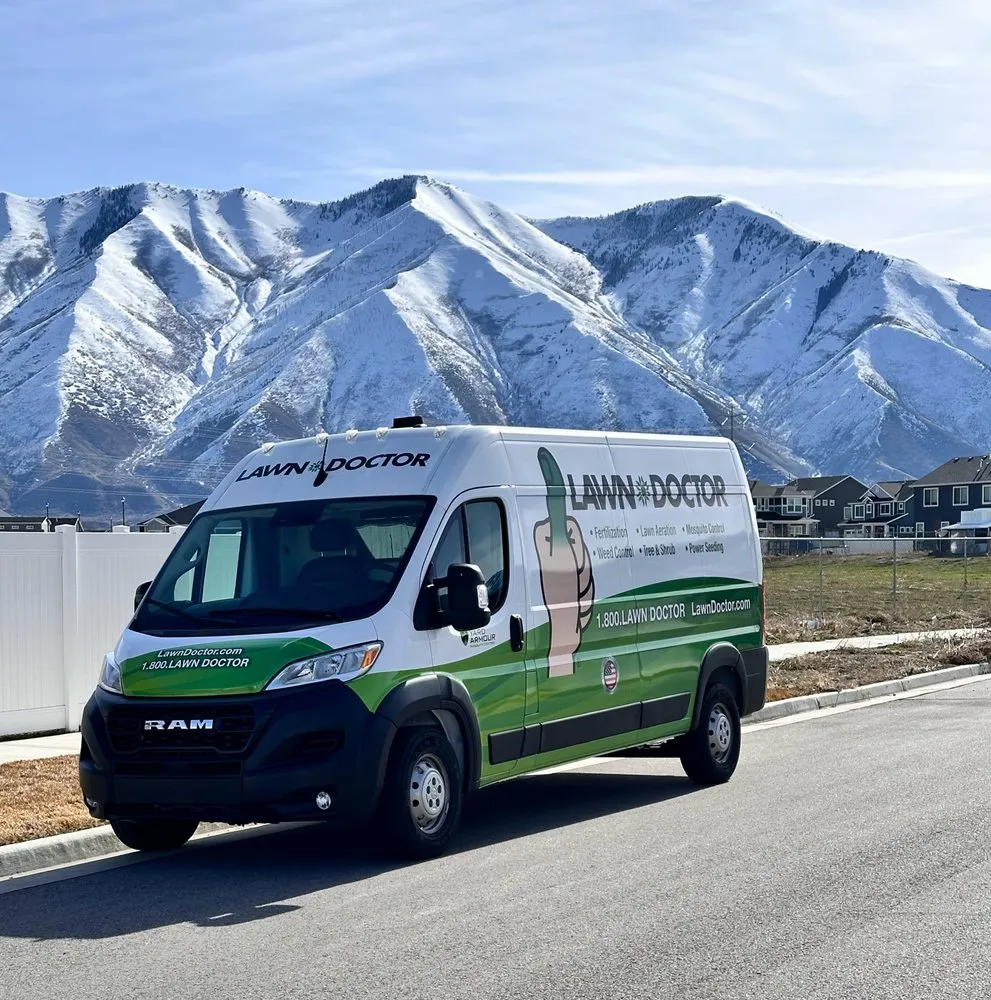 Professional yard cleanup service in Spanish Fork, UT - Lawn Doctor