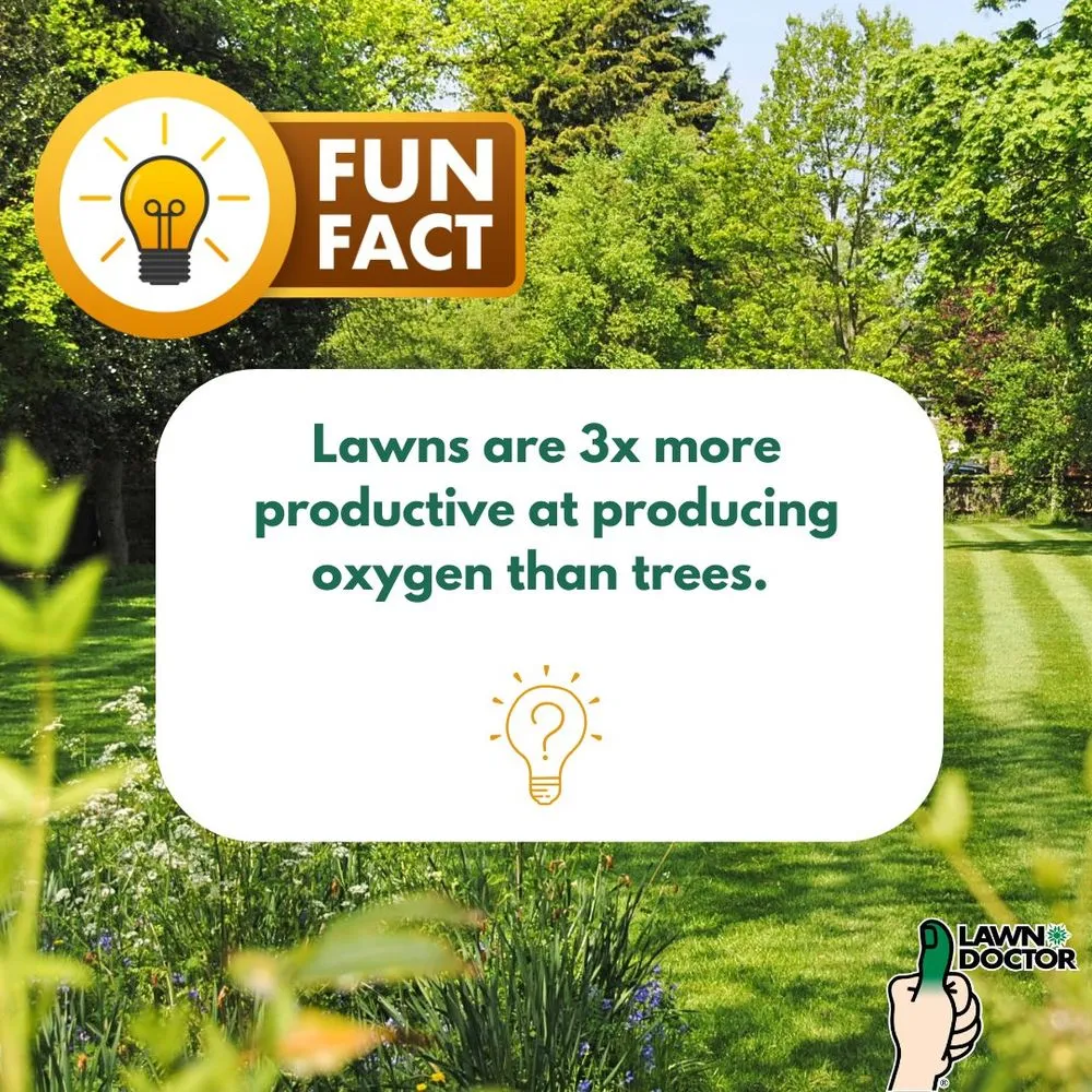 Expert lawn mowing service experts serving Spanish Fork, UT - Lawn Doctor