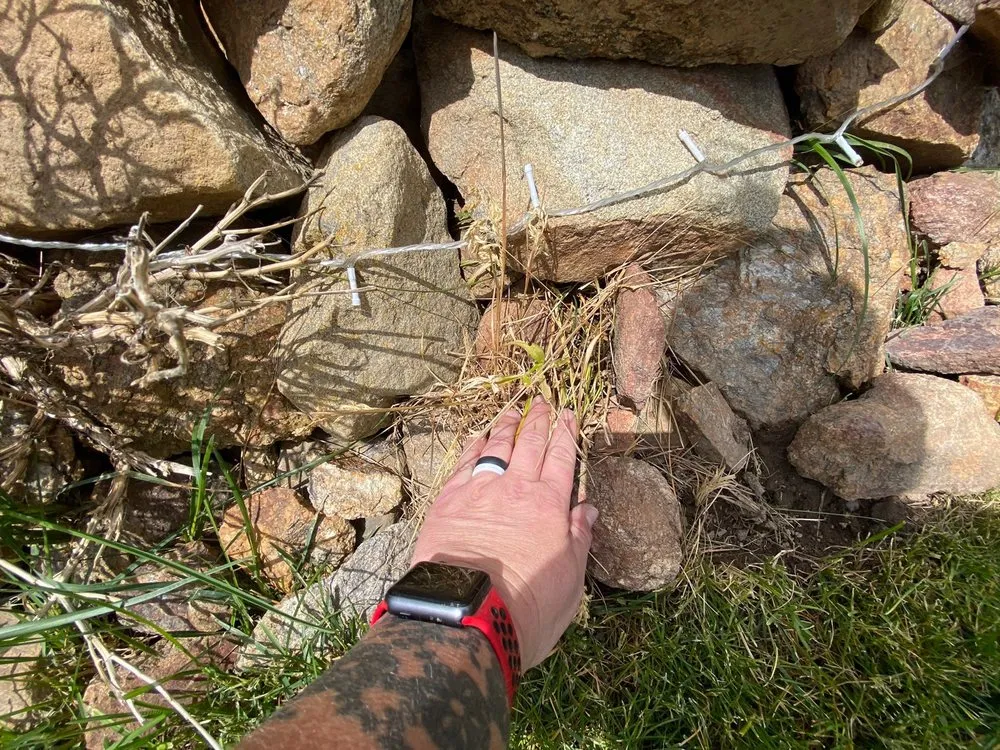 Professional lawn care service for residential properties in Spokane Valley, WA by Lawn Doctor