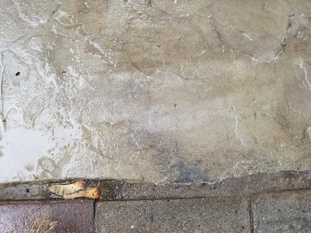 Expert yard maintenance in Spokane Valley, WA by Lawn Doctor