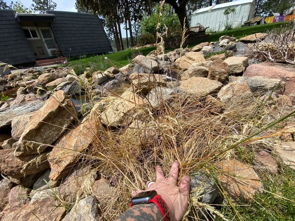 Trusted lawn care service for outdoor upgrades across Spokane Valley, WA - Lawn Doctor