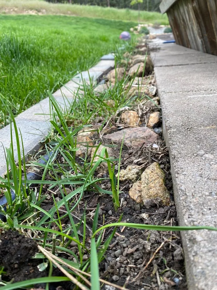 Reliable landscape installation for homes in Spokane Valley, WA by Lawn Doctor