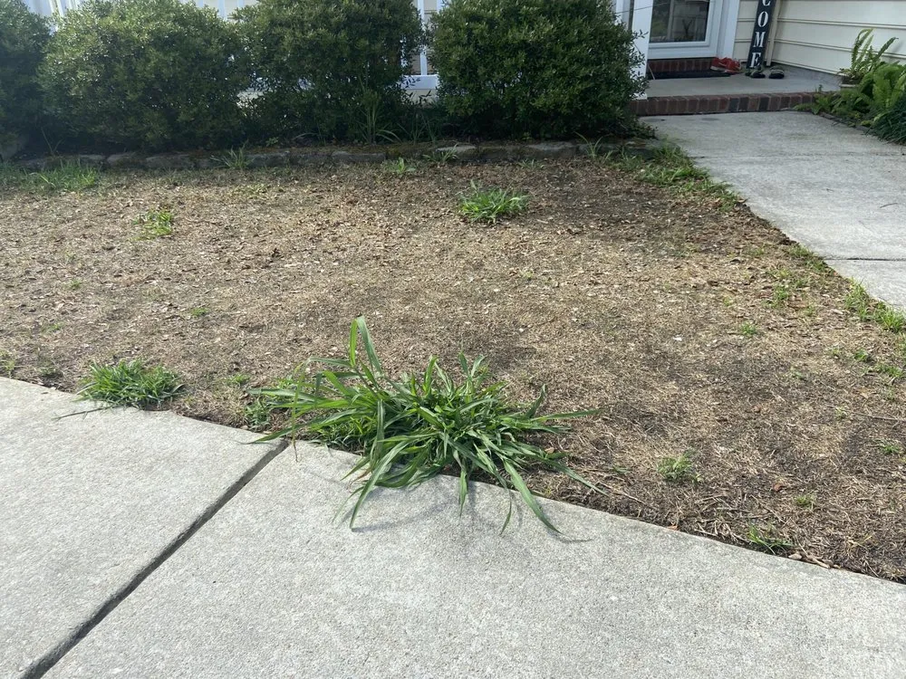 Top-rated garden landscaping for year-round maintenance in Summerville, SC by Lawn Doctor