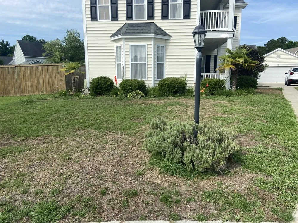 Affordable garden landscaping in Summerville, SC by Lawn Doctor