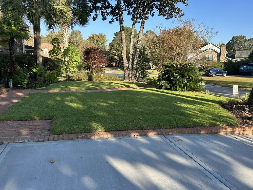 Expert lawn care service in Summerville, SC - Lawn Doctor