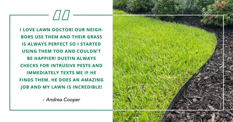 Expert landscape design in Summerville, SC - Lawn Doctor
