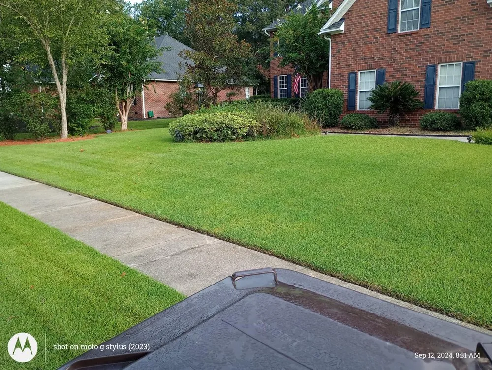 Professional yard cleanup service for outdoor upgrades in Summerville, SC by Lawn Doctor