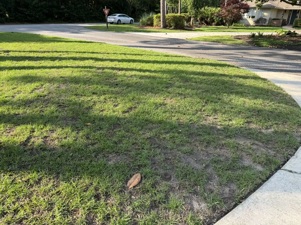 Professional landscape design with custom design across Summerville, SC - Lawn Doctor