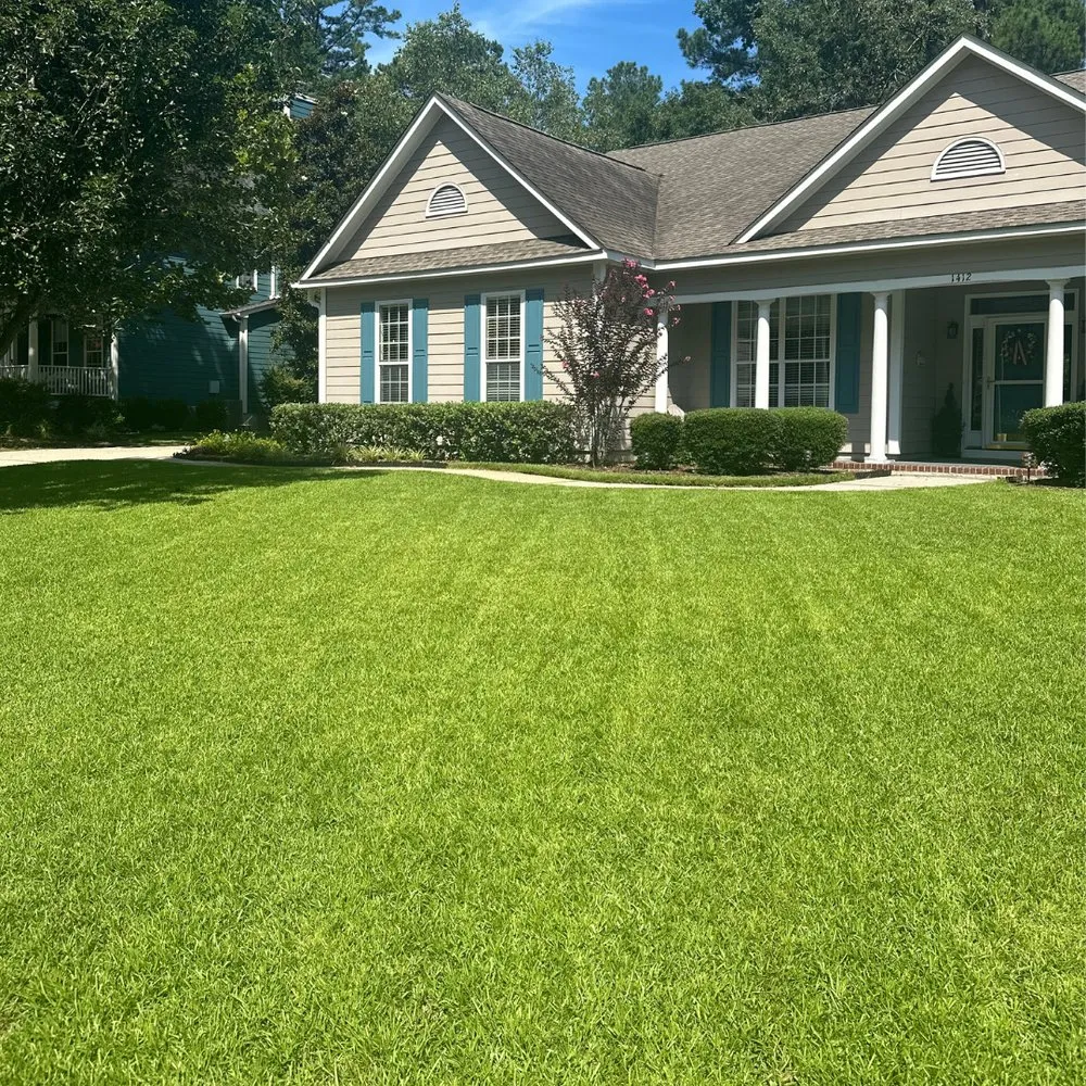 Trusted lawn care service experts serving Summerville, SC - Lawn Doctor