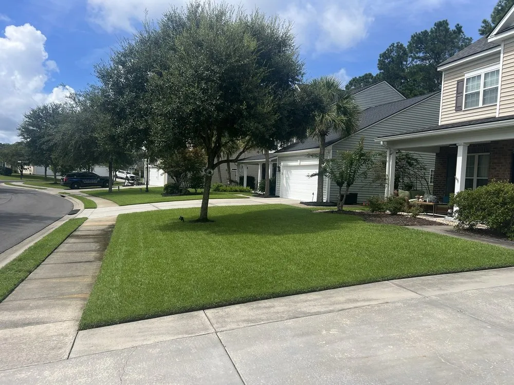 Top-rated lawn care service in Summerville, SC by Lawn Doctor