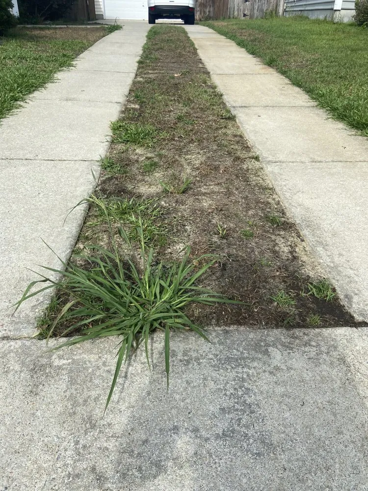 Local landscaping services in Summerville, SC - Lawn Doctor