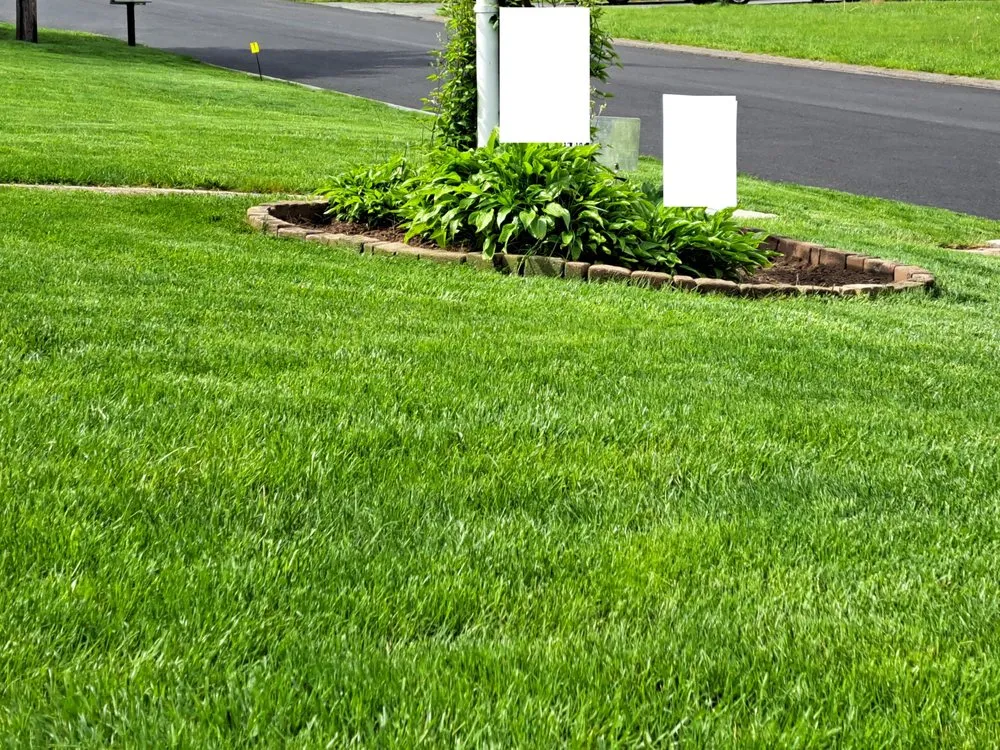 Affordable lawn care service in Upton, MA by Lawn Doctor