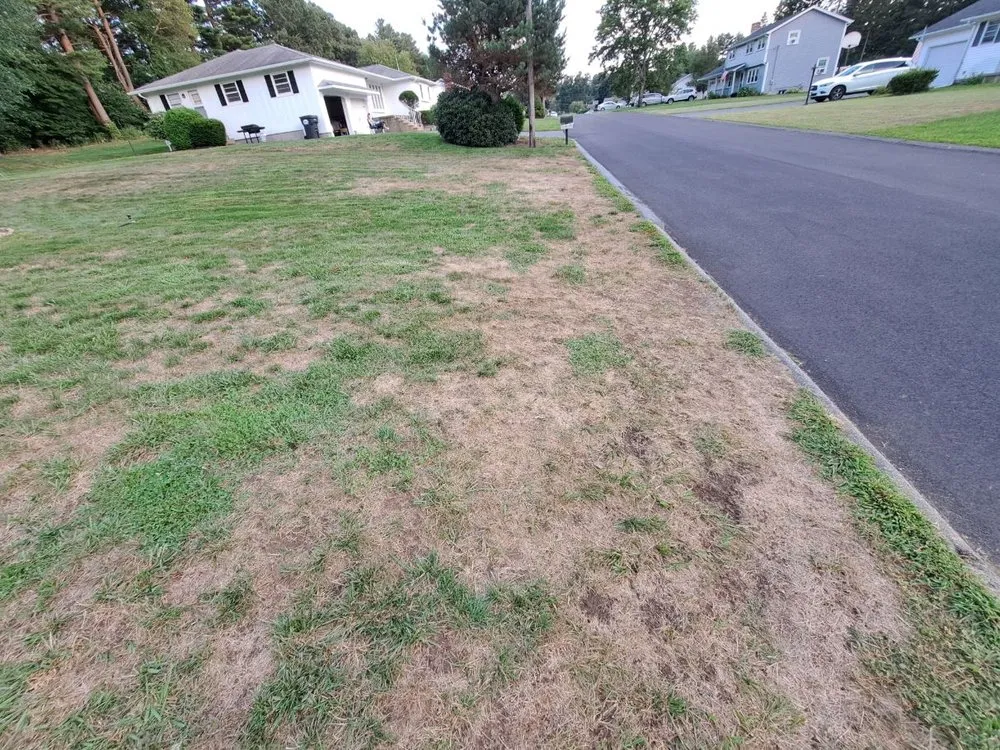 Custom landscape design experts serving Upton, MA - Lawn Doctor