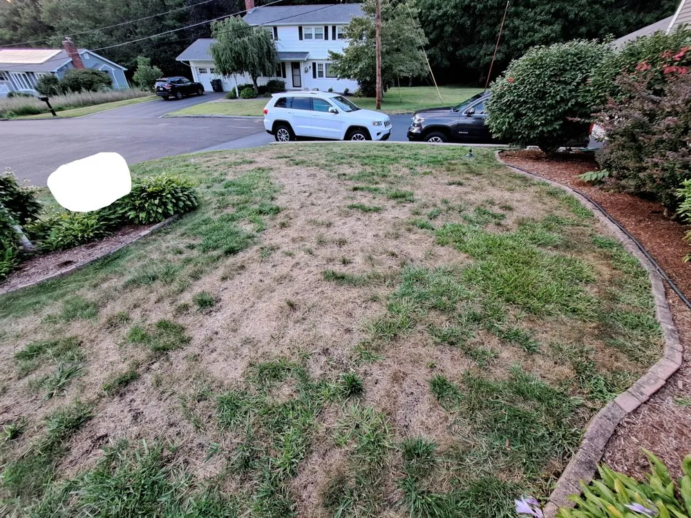 Professional residential landscaping experts serving Upton, MA - Lawn Doctor