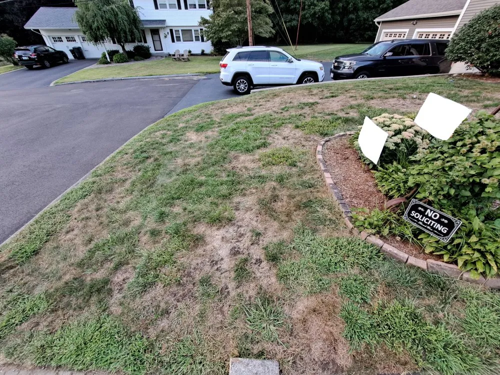 Expert lawn mowing service for residential properties across Upton, MA - Lawn Doctor
