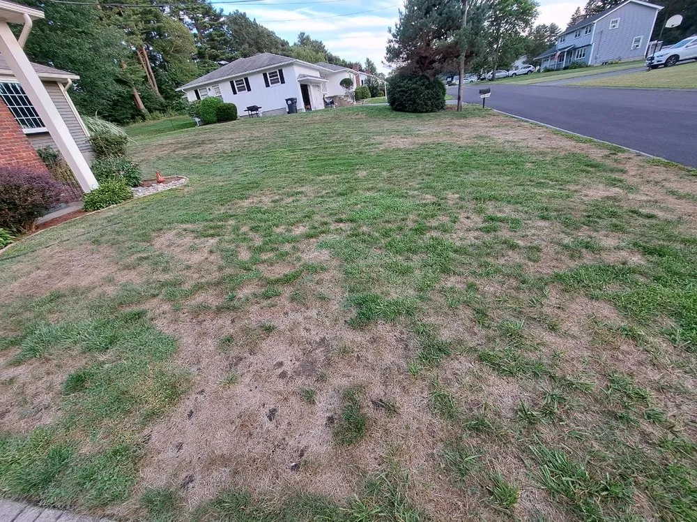 Trusted landscape installation in Upton, MA - Lawn Doctor