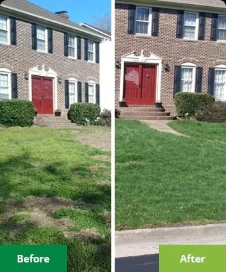Professional yard cleanup service in Valley Park, MO by Lawn Doctor